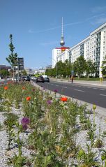 Blick zum Fernsehturm