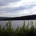 Blick zum Fichtelberg