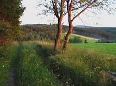 Blick zum Fichtelberg