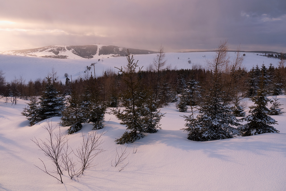 Blick zum Fichtelberg