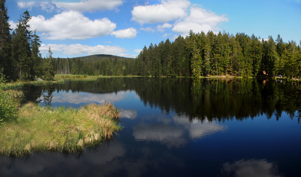 Blick zum Fichtelseemoor