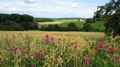 Blick zum Flugplatz Hahnweide