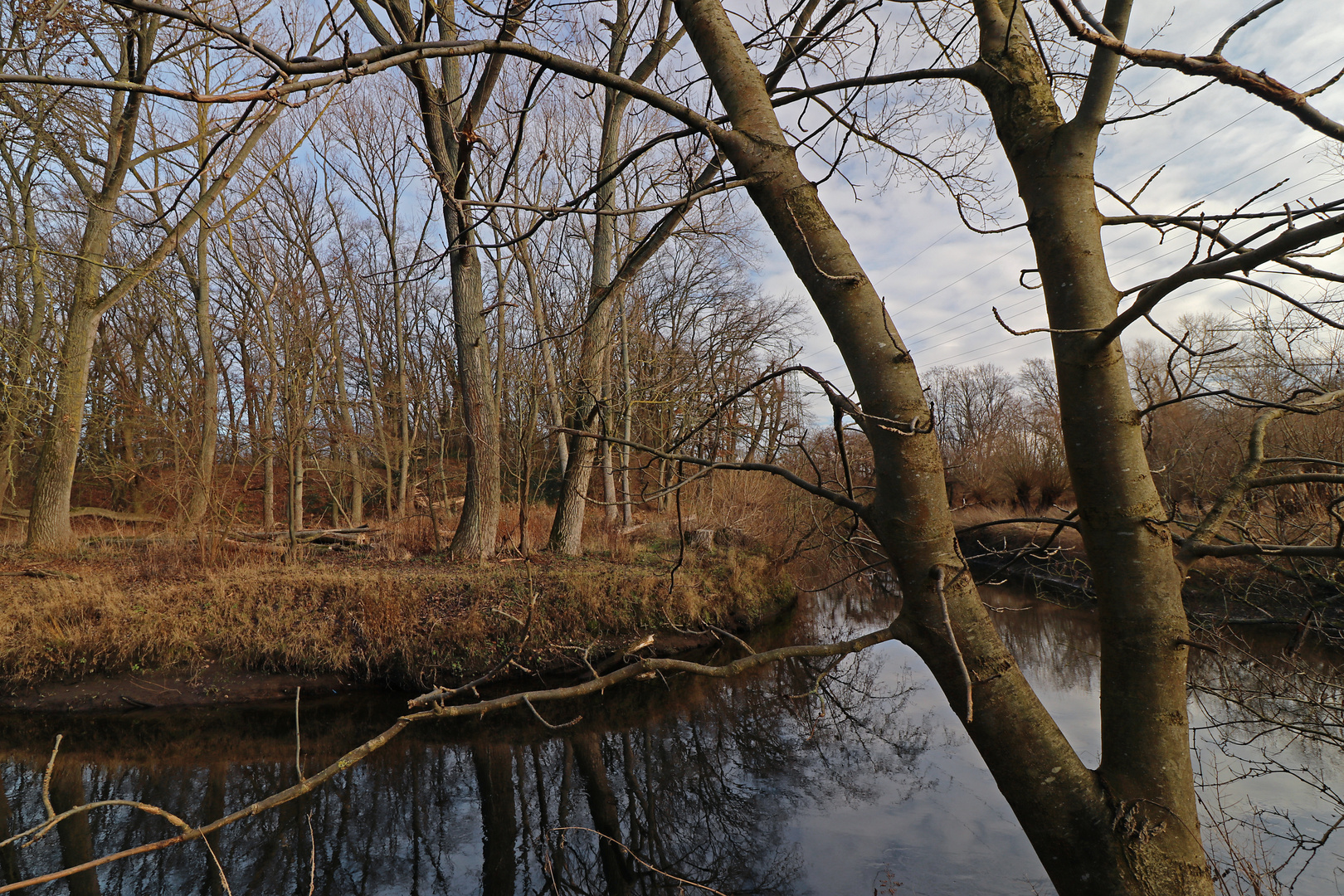 Blick zum Fluss