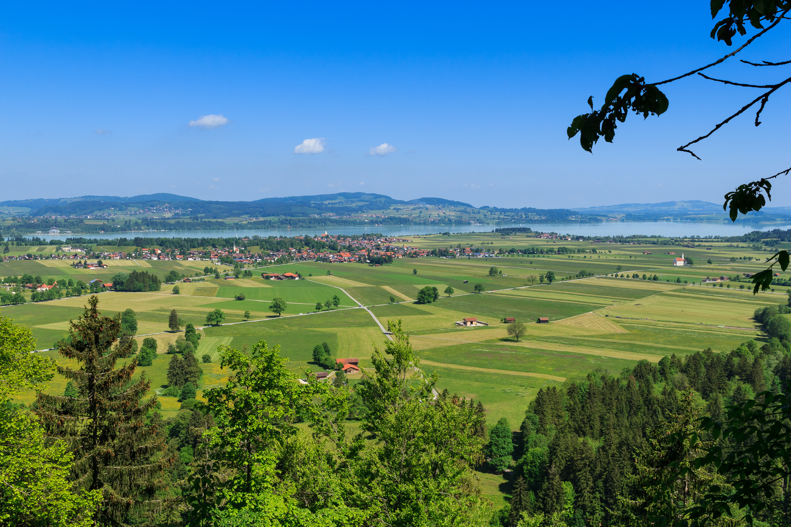 Blick zum Forggensee