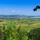 Blick zum Forggensee