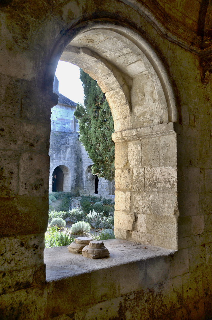 blick zum garten