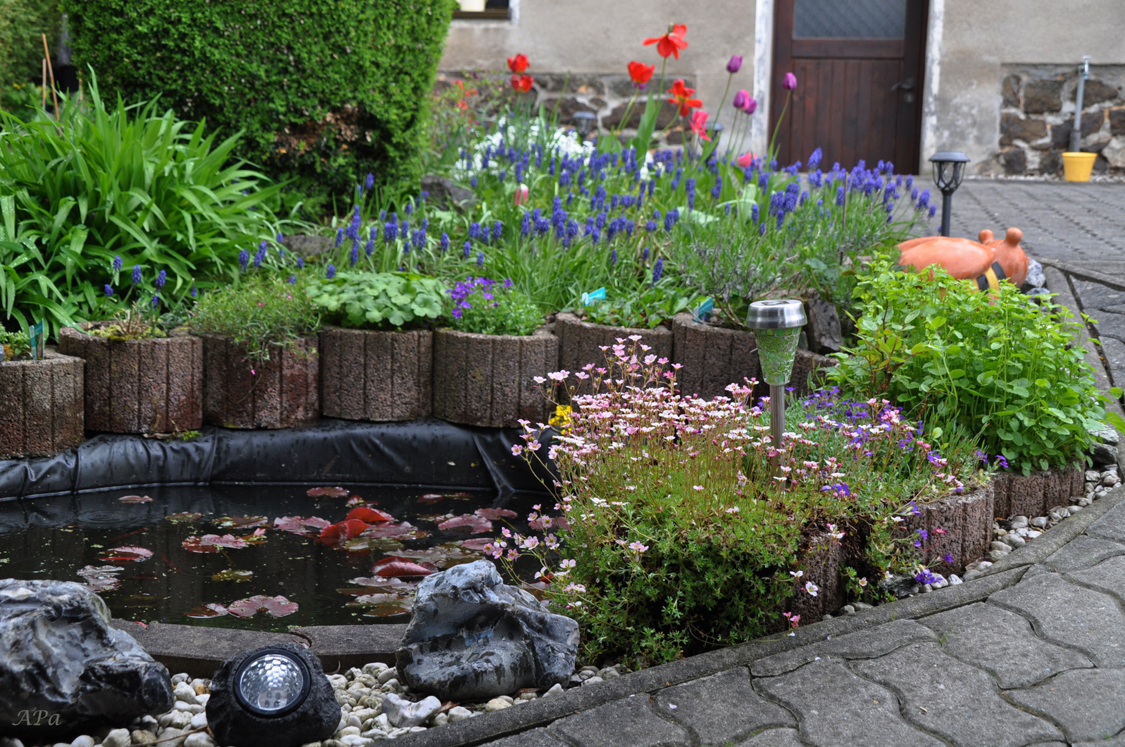 Blick zum Gartenteich