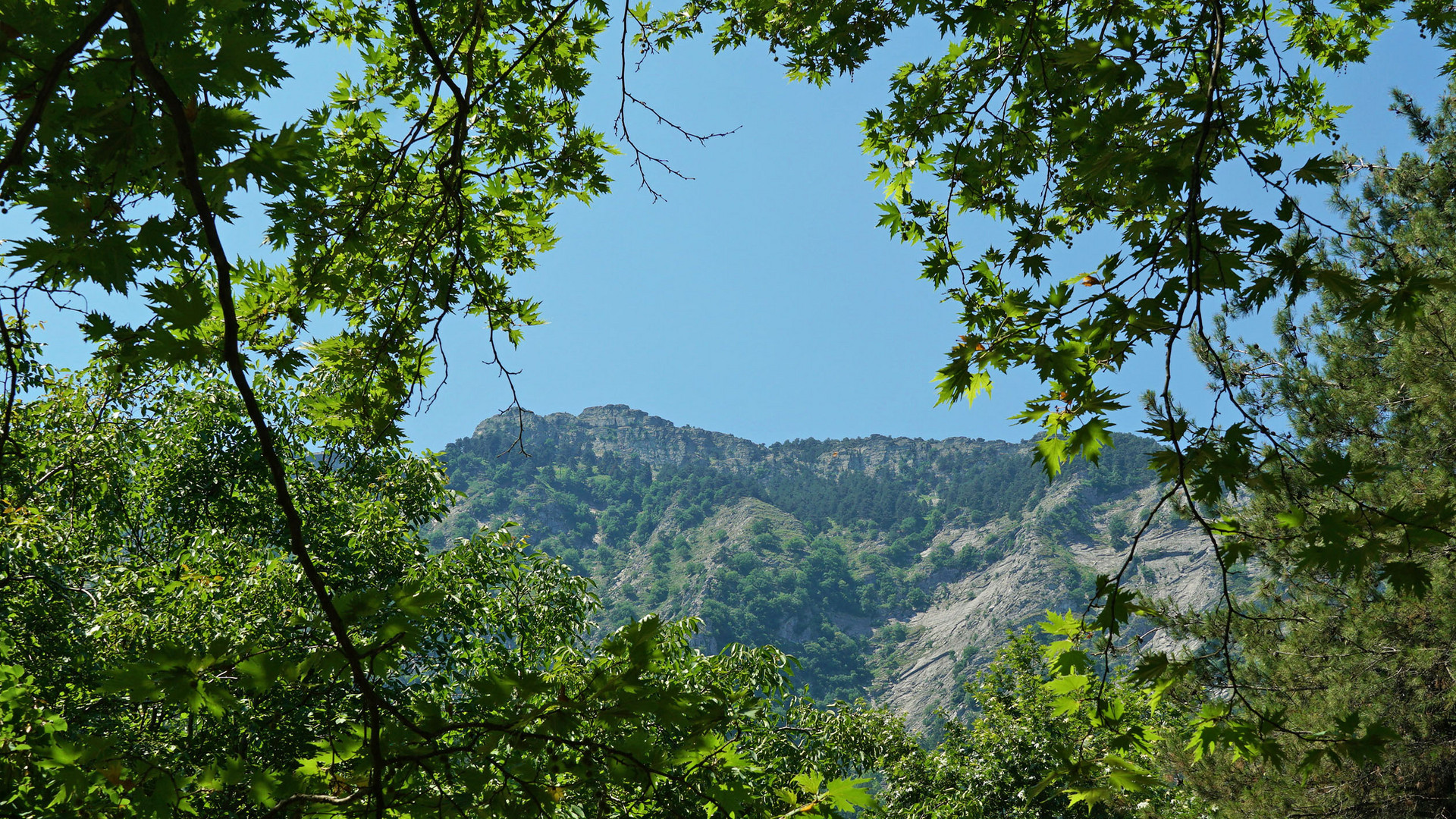 Blick zum Gipfel