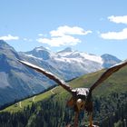 Blick zum Gletscher