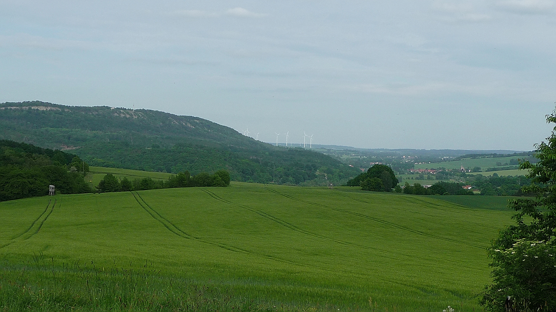 Blick zum Großen Hörselsberg