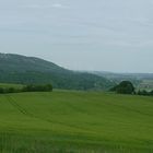 Blick zum Großen Hörselsberg