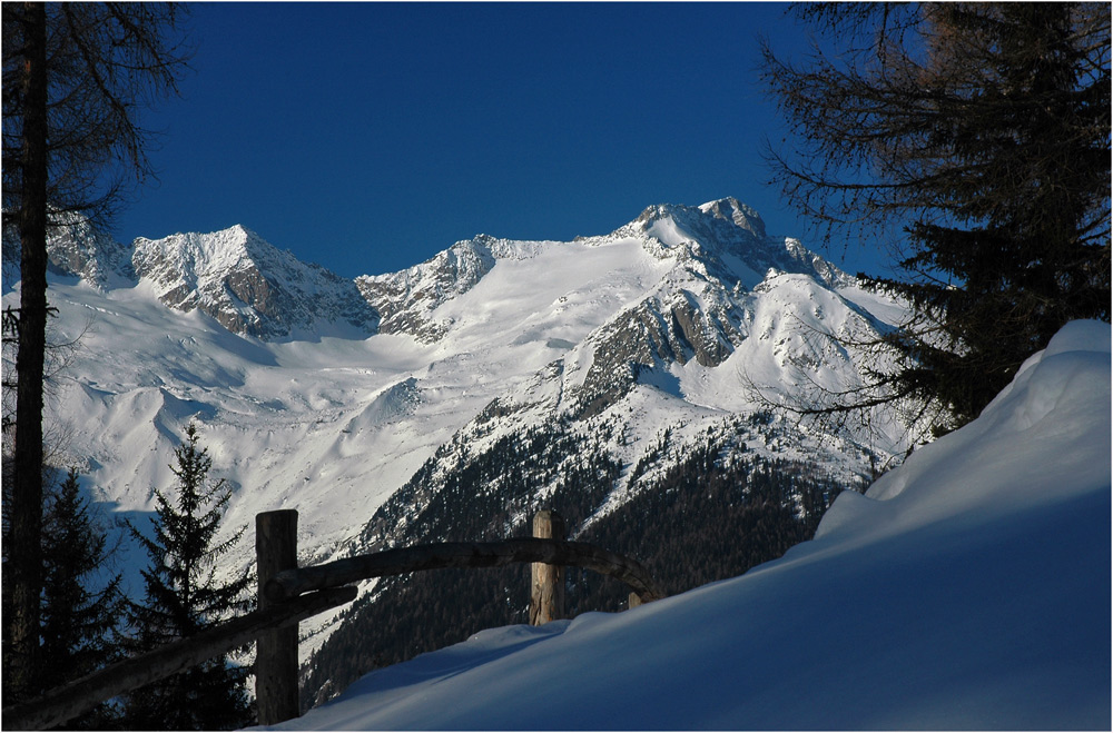 Blick zum Großen Löffler 3376 m