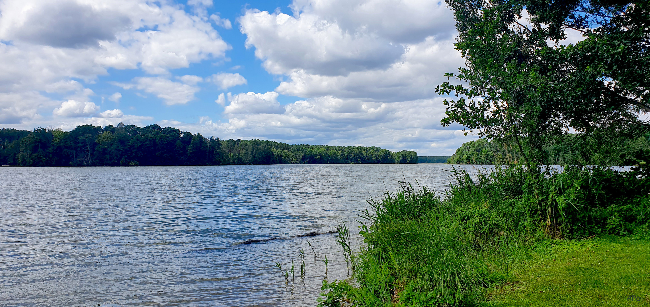 Blick zum "Großen Mochowsee"