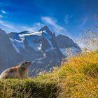 Blick zum Großglockner