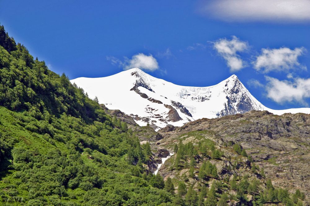 Blick zum Großvenediger