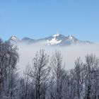 Blick zum Grünten 1738m