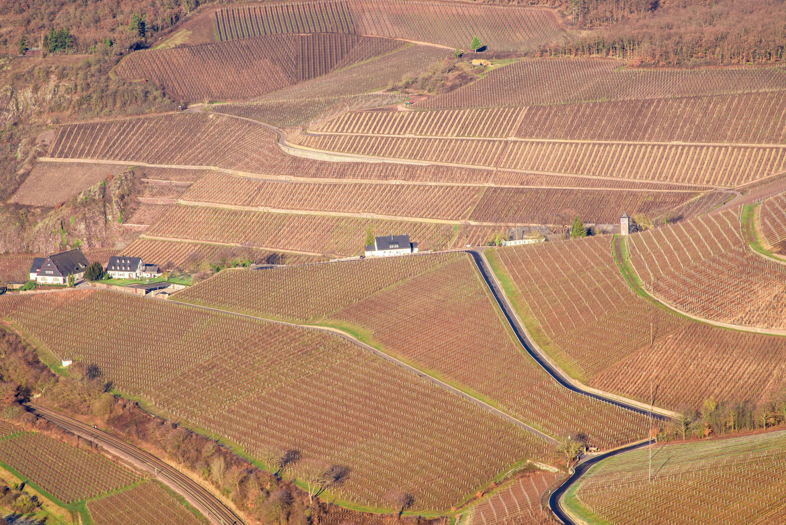 Blick zum " GUT HERMANNSBERG " 