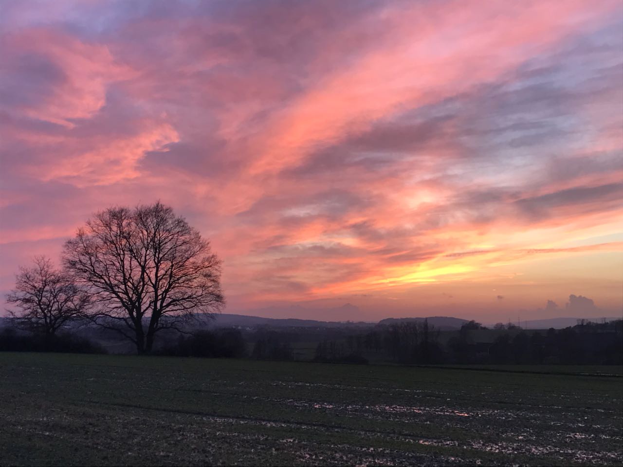 Blick zum Haarstrang