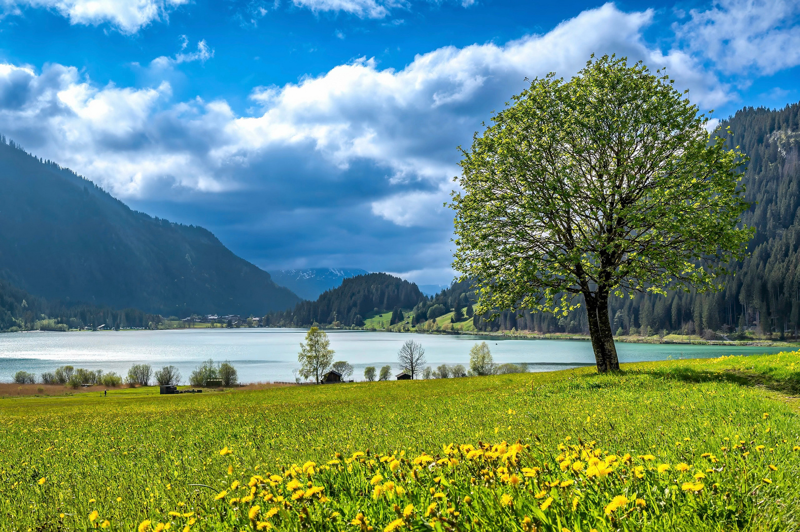 Blick zum Haldensee