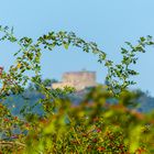 Blick zum Hambacher Schloss