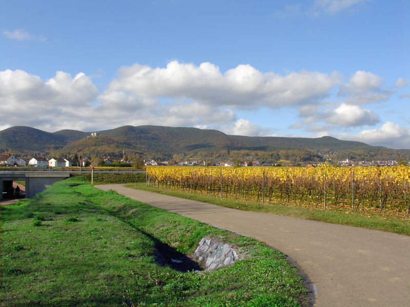 Blick zum Hambacher Schloß