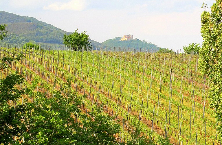 Blick zum Hambacher Schloss,Wiege d.dt. Demokratie