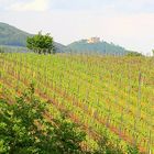 Blick zum Hambacher Schloss,Wiege d.dt. Demokratie