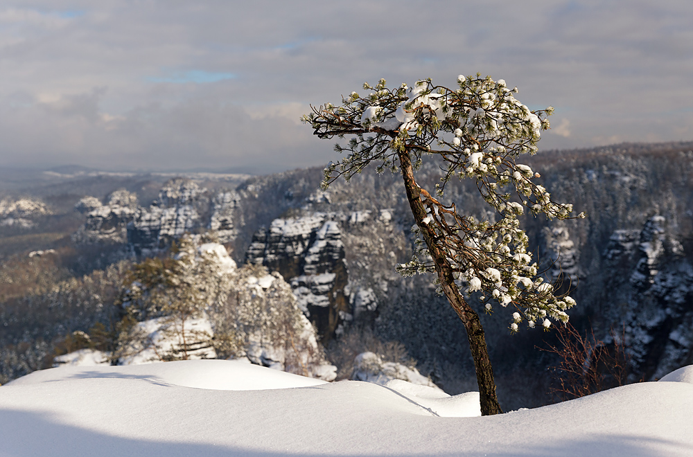 Blick zum Heringsstein