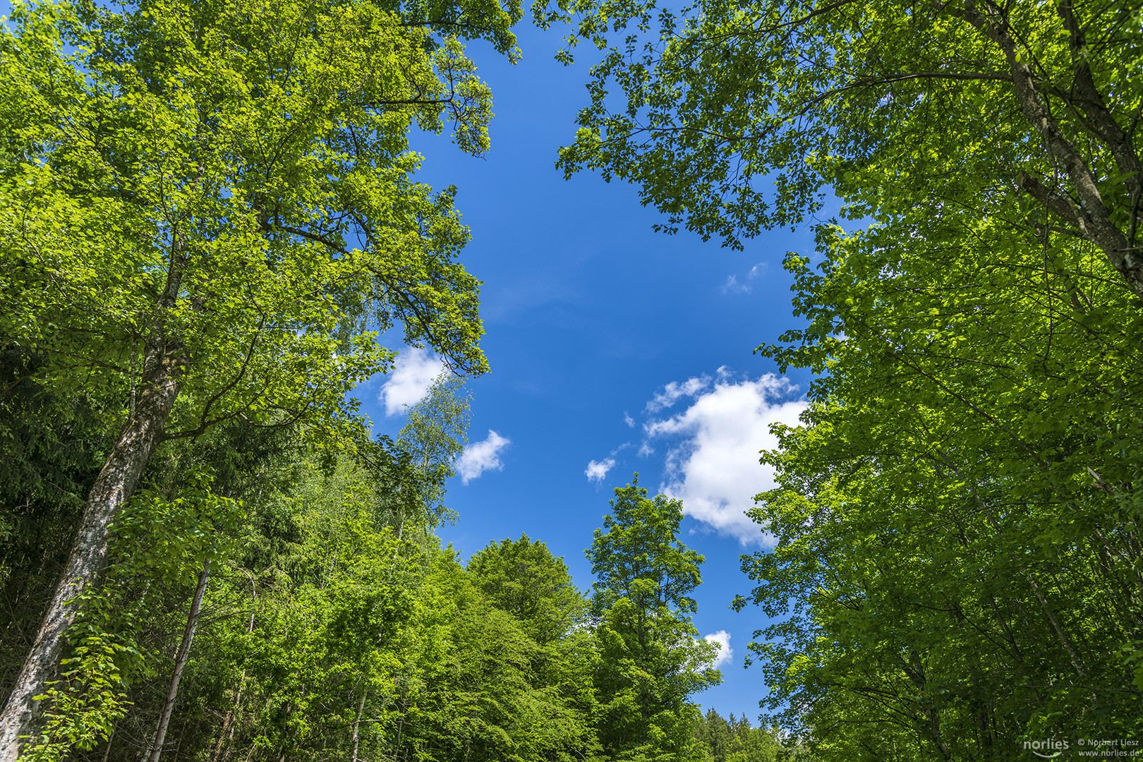 Blick zum Himmel