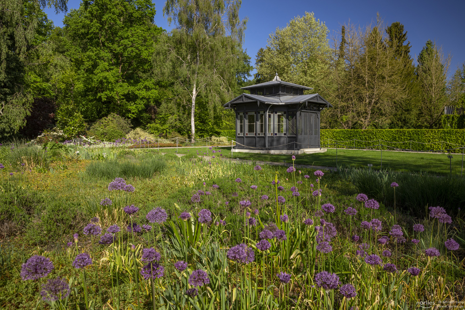 Blick zum Historischen Pavillon