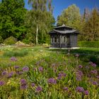 Blick zum Historischen Pavillon