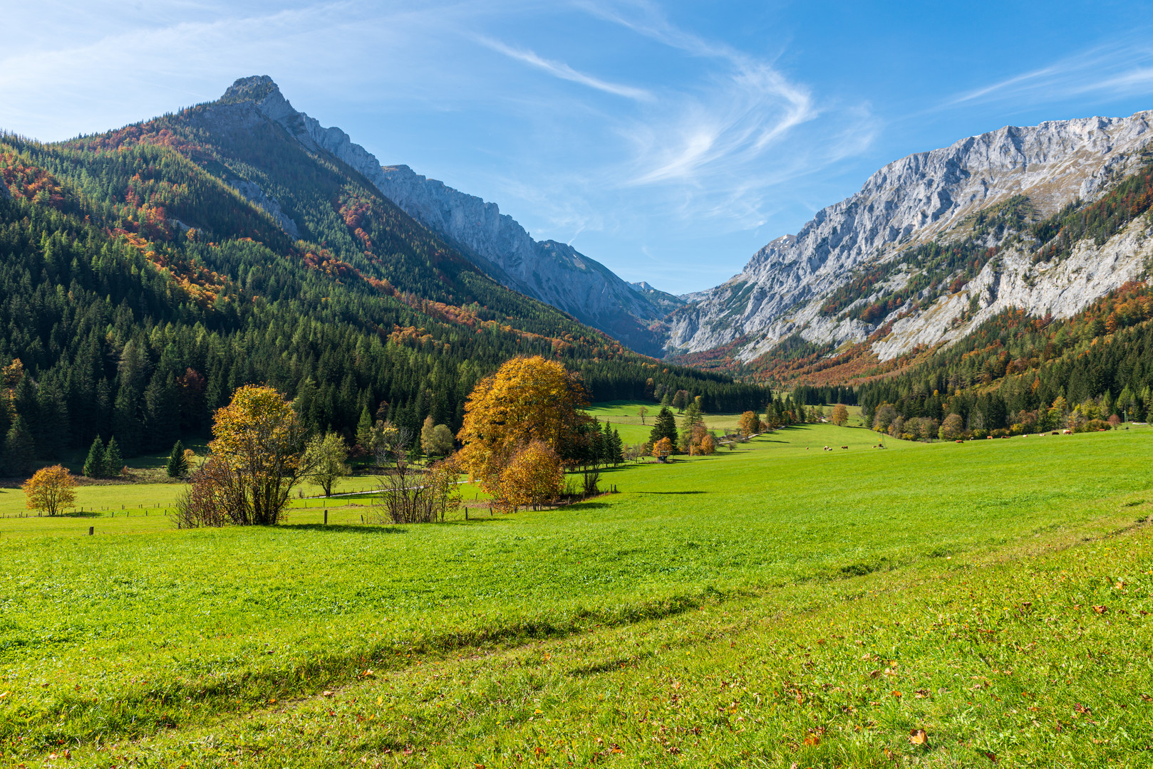 Blick zum Hochschwabmassiv