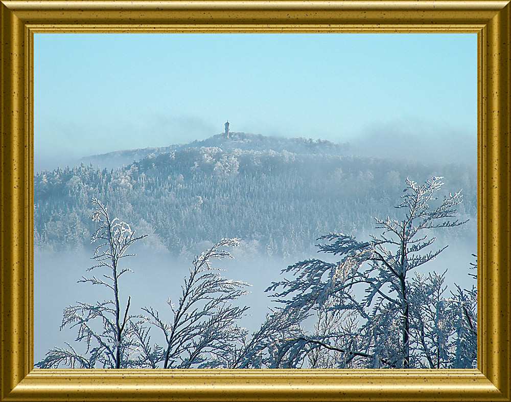 Blick zum Hochwald