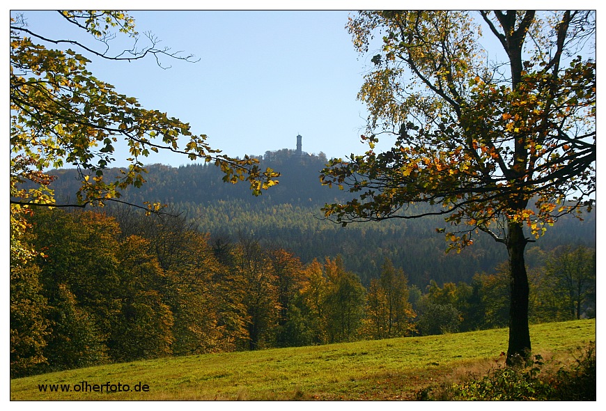 Blick zum Hochwald