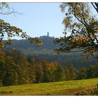 Blick zum Hochwald