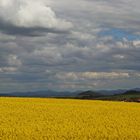 Blick zum höchsten Deutschen Berg östlich der Elbe...