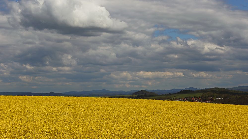 Blick zum höchsten Deutschen Berg östlich der Elbe...