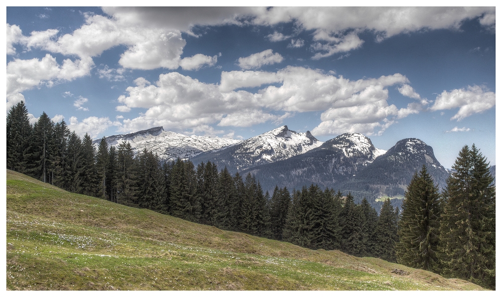 Blick zum Hohen Ifen