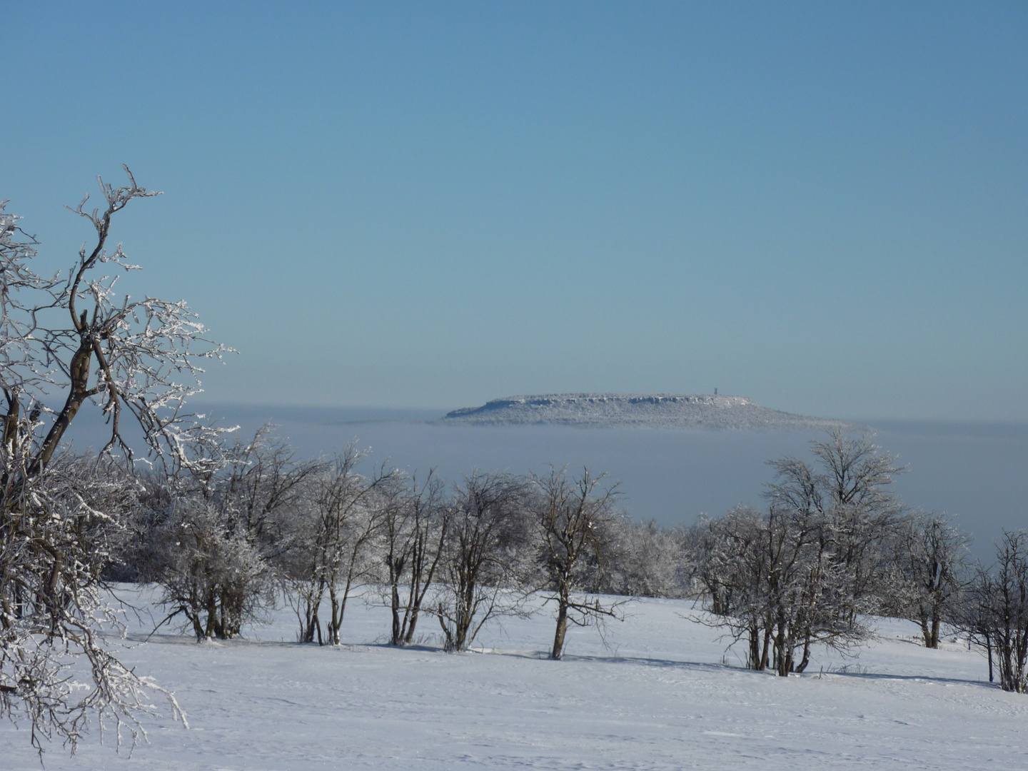 Blick zum Hohen Schneeberg