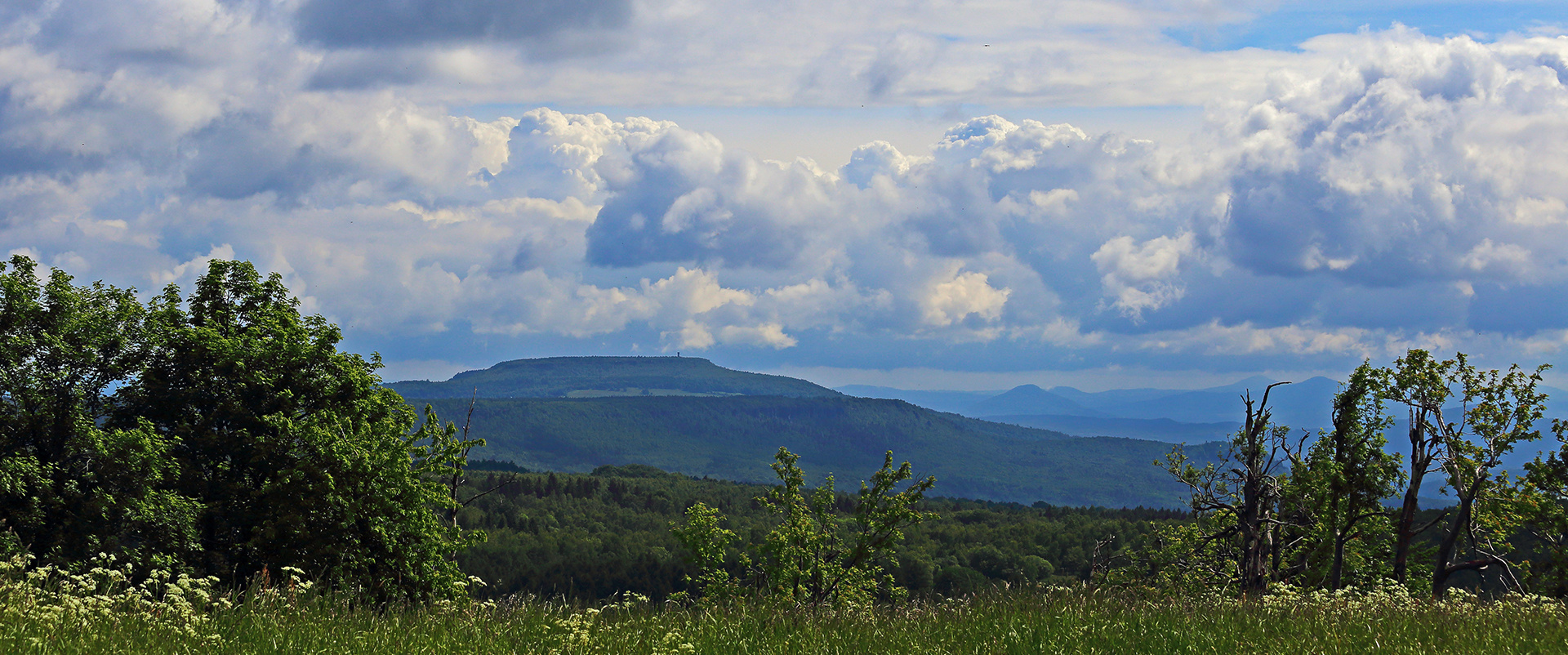 Blick zum Hohen Schneeberg, dem höchsten Gipfel im Elbsandsteingebirge...