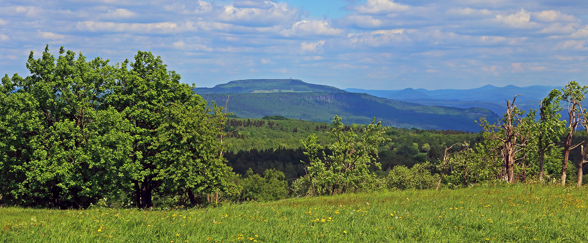 Blick zum Hohen Schneeberg von der Naklerovska vysina...