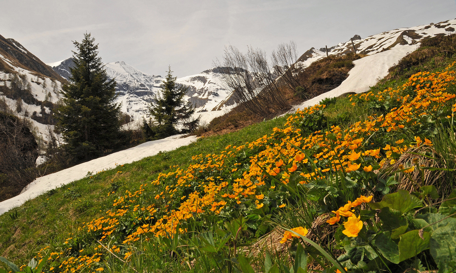 Blick zum Hohen Tenn