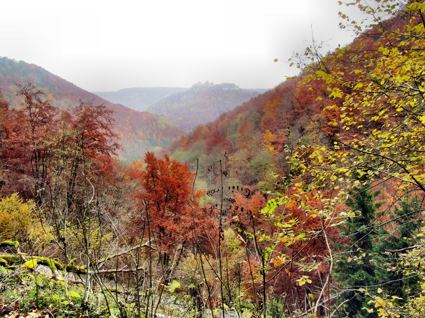 Blick zum Hohen Urach