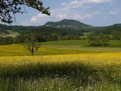 Blick zum Hohenrechberg