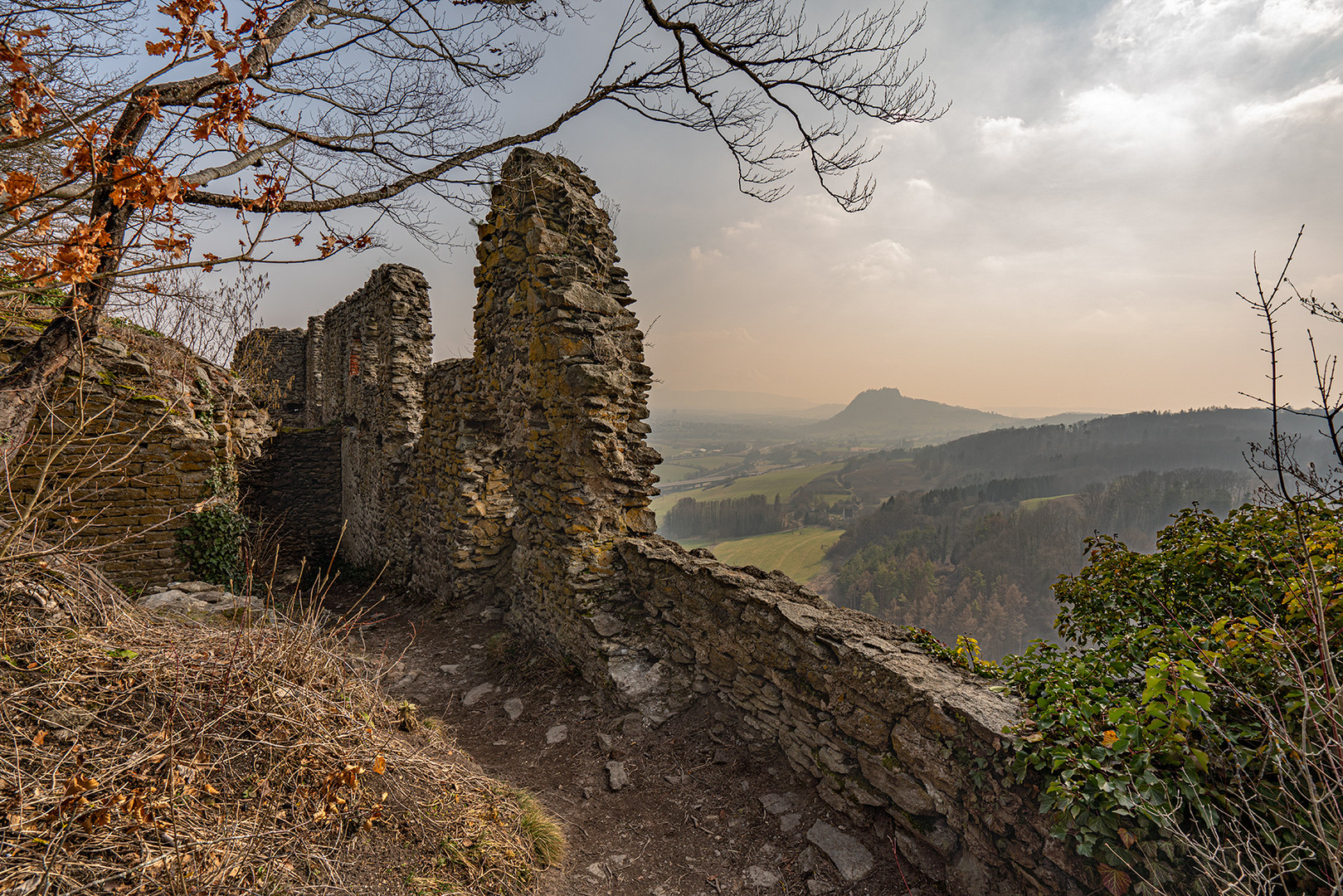 Blick zum Hohentwiel