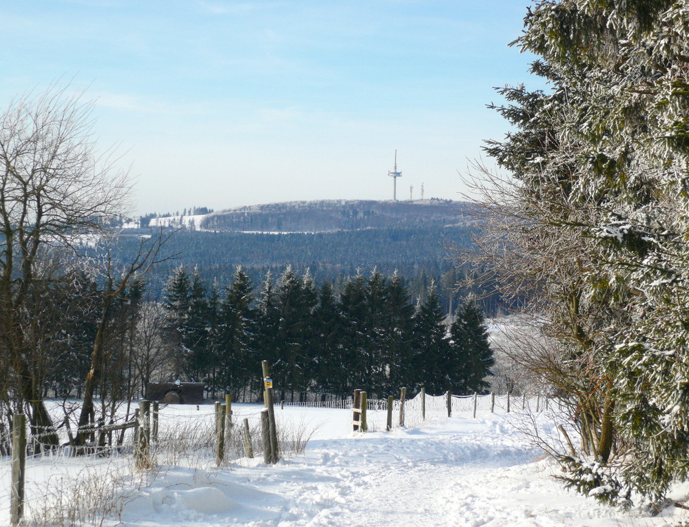 " BLICK ZUM HOHERODSKOPF "  764 m