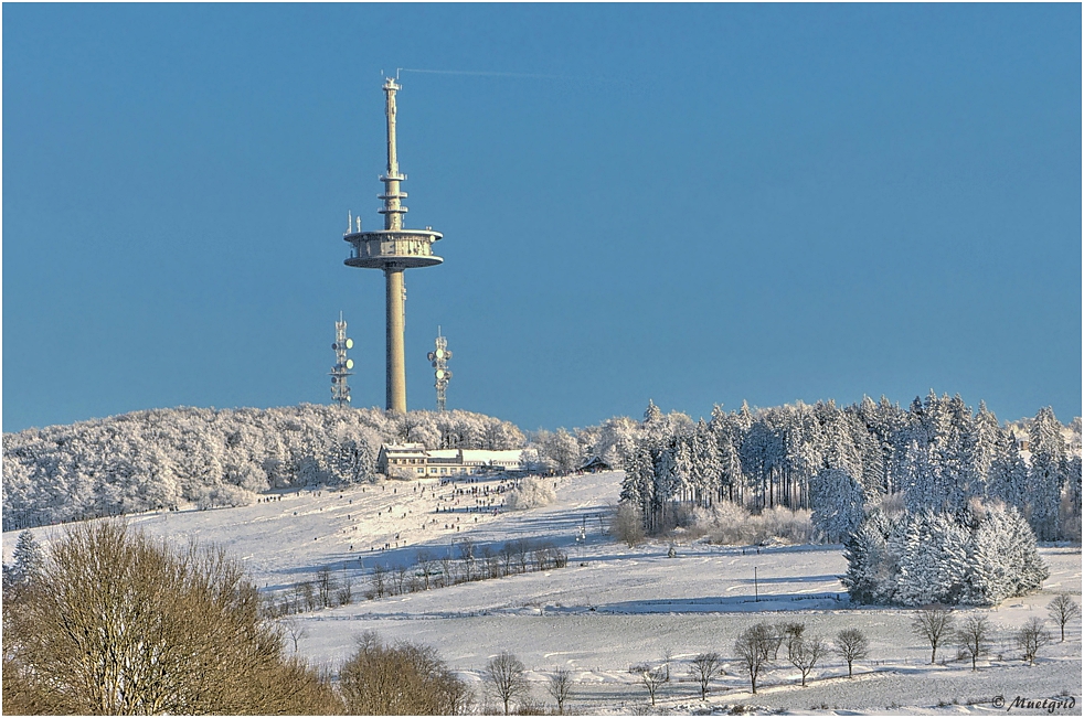 ~ Blick zum Hoherodskopf ~