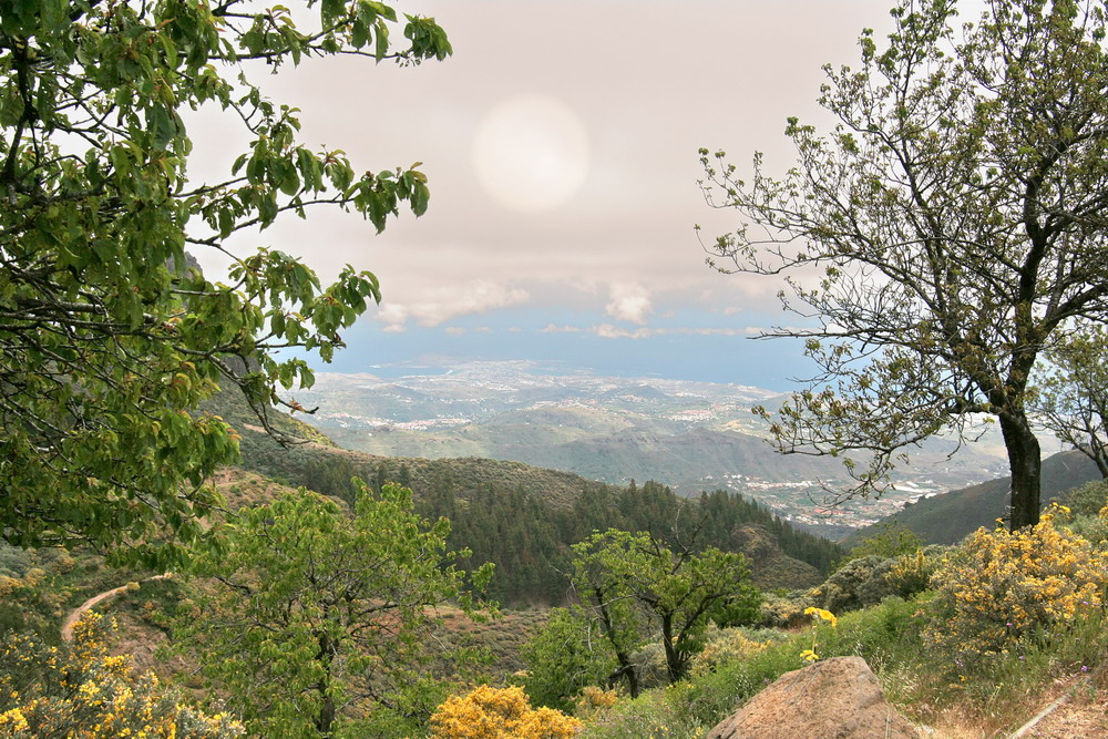 Blick zum Horizont