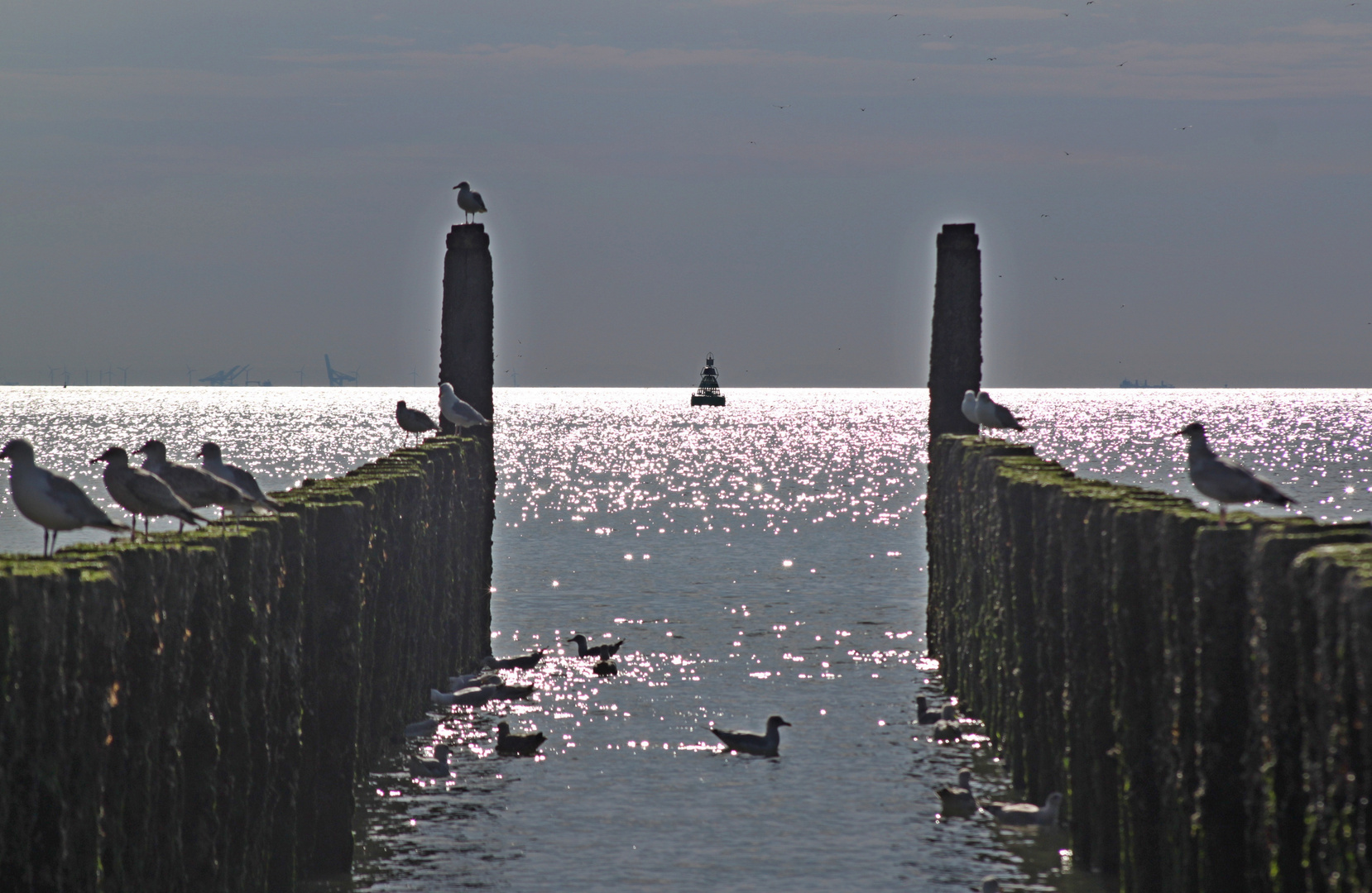 Blick zum Horizont