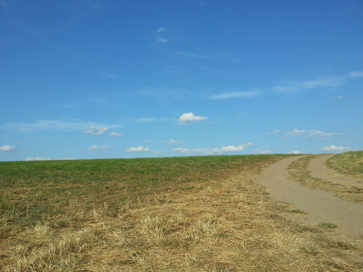 Blick zum Hügel